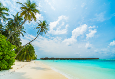 Supercar Check-out Phu Quoc – Private Tour With Luxury Car, Rental Car, Massage – Last-day Package